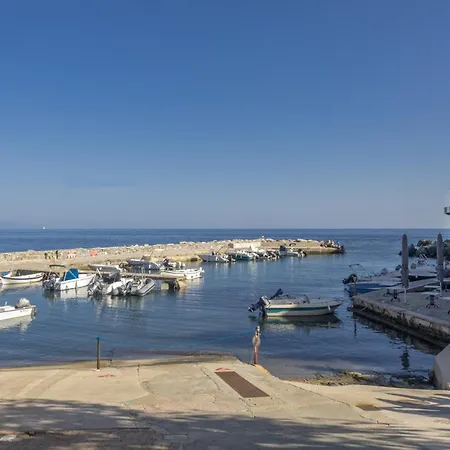 La Rose Des Mers Brando